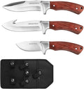 3 PIECE Hunting Knife Set Full Tang Bowie Survival Knife Gut Hook w/Sheath
