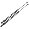 2 Rear Hatch Gas Struts Elantra Xd 00-06 5door Hatchback Tailagate