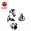 Jis B 1111 Cross Recessed Mushroom Head Screws Stainless Steel M2 M3