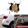 3d Cat Sticker Vinyl Window Decal Accessories For Car Truck Exterior