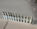 Pro 11pc 3/8” Drive Torx Star Bit Socket Set T20 -T60 Bits With Rail Holder