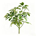 Green Artificial Seven Point Leaf Stem For Photography And Interior
