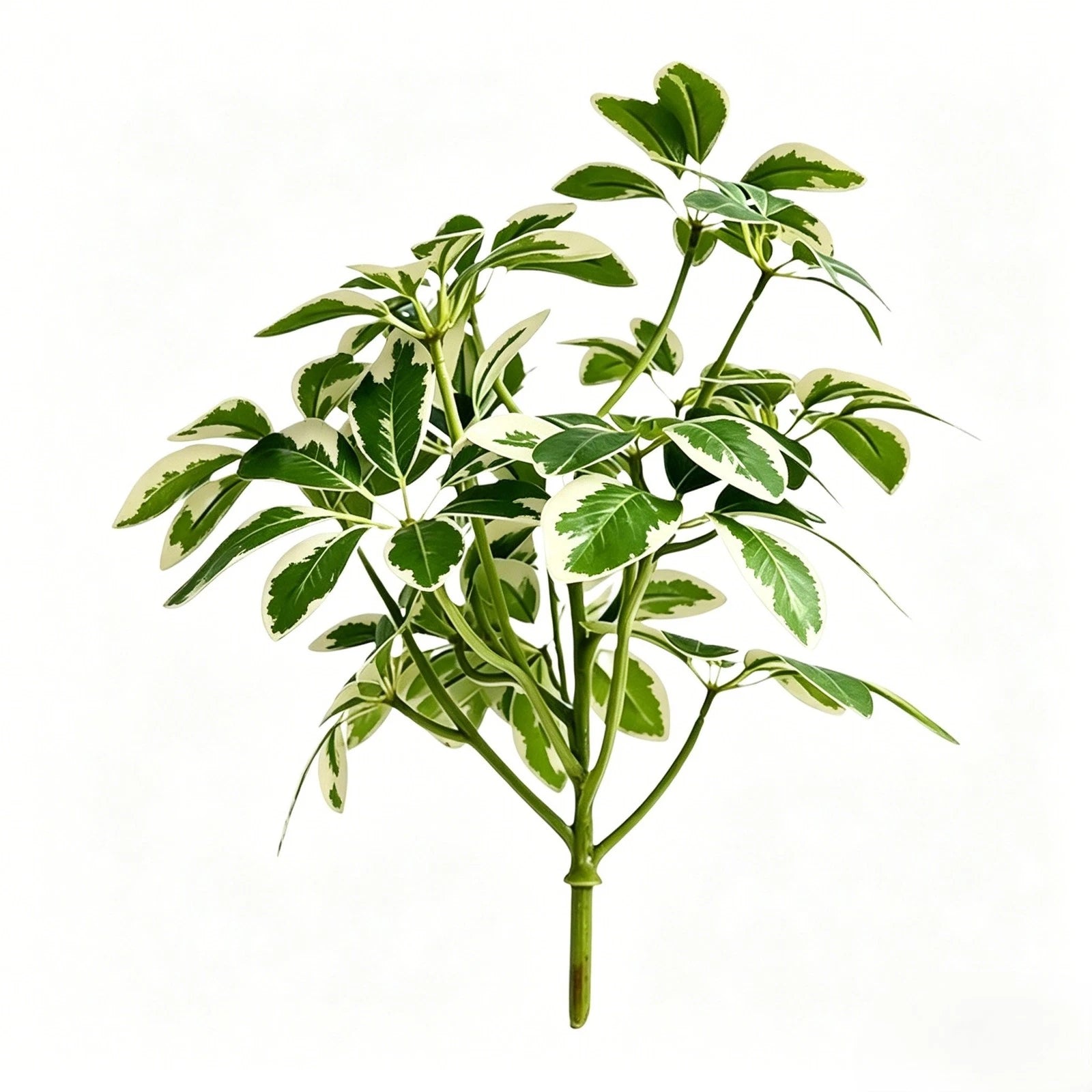 Green Artificial Seven Point Leaf Stem For Photography And Interior