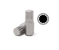 Pack S2 Steel 12pt Spline Bit 10mm Shank 30mml/75mml Individual