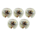 Replacement Brushes Set for RS550 Motor Types - 5PC