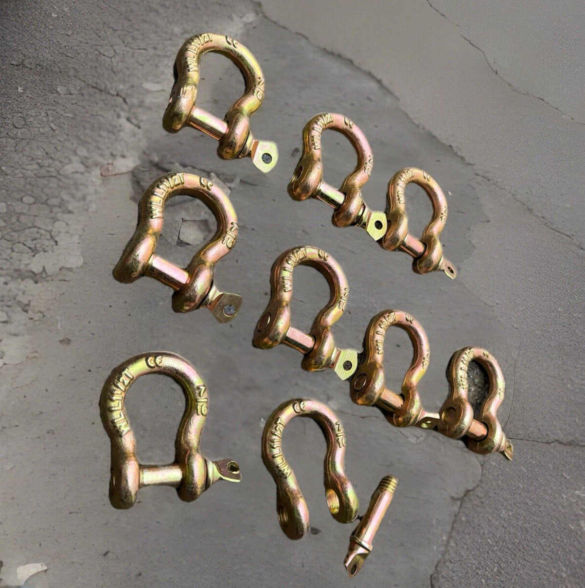 10pc Drop Forged D Ring Screw Pin Anchor Shackle by Unbranded