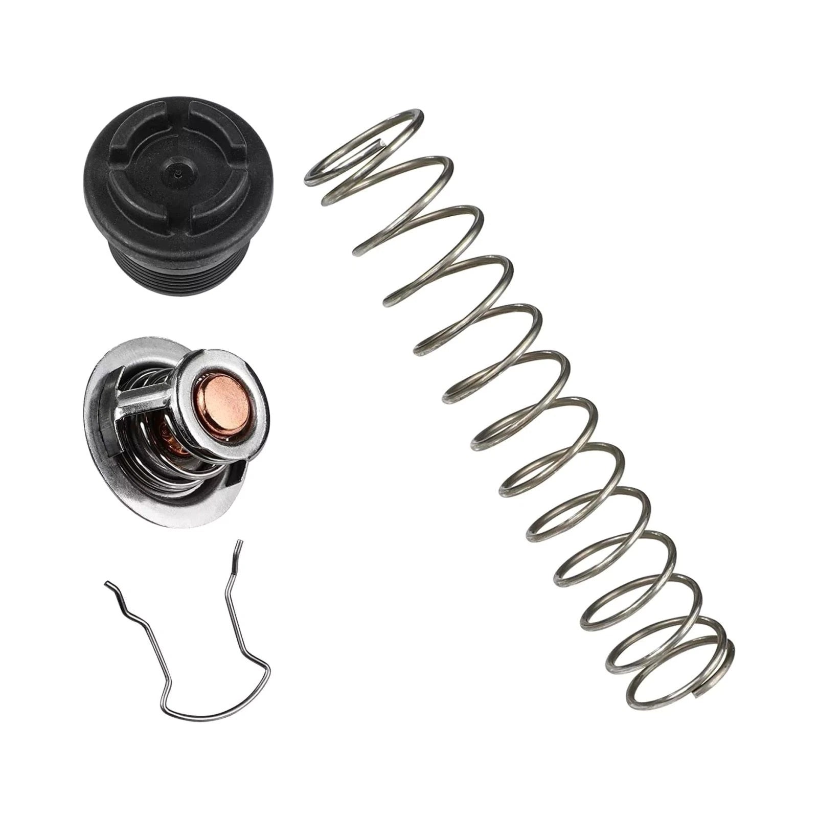 77707-0010 Thermal Regulator Replacement Kit For Pentair Pool Spa