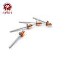 2.4*6/3.0*6/3.<wbr/>2*5/3.2*10mm Golden Opening Blind Rivet Pulling