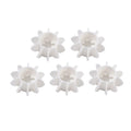 Silicone Laundry Balls For Washing Prevent Wrinkles And Knots 5 Pack