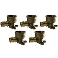 XFITTING 1/2" Pex A x 3/4" Female Elbow 5 Pack