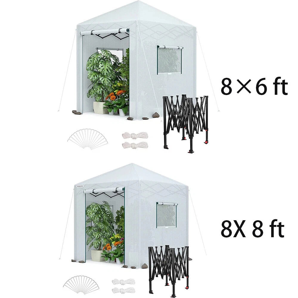 Workpro Portable 8'x 8'/8'x6' Walk-in Greenhouse Instant Pop-up