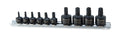 10 Piece Tamper Resistant Star Bit Socket Set