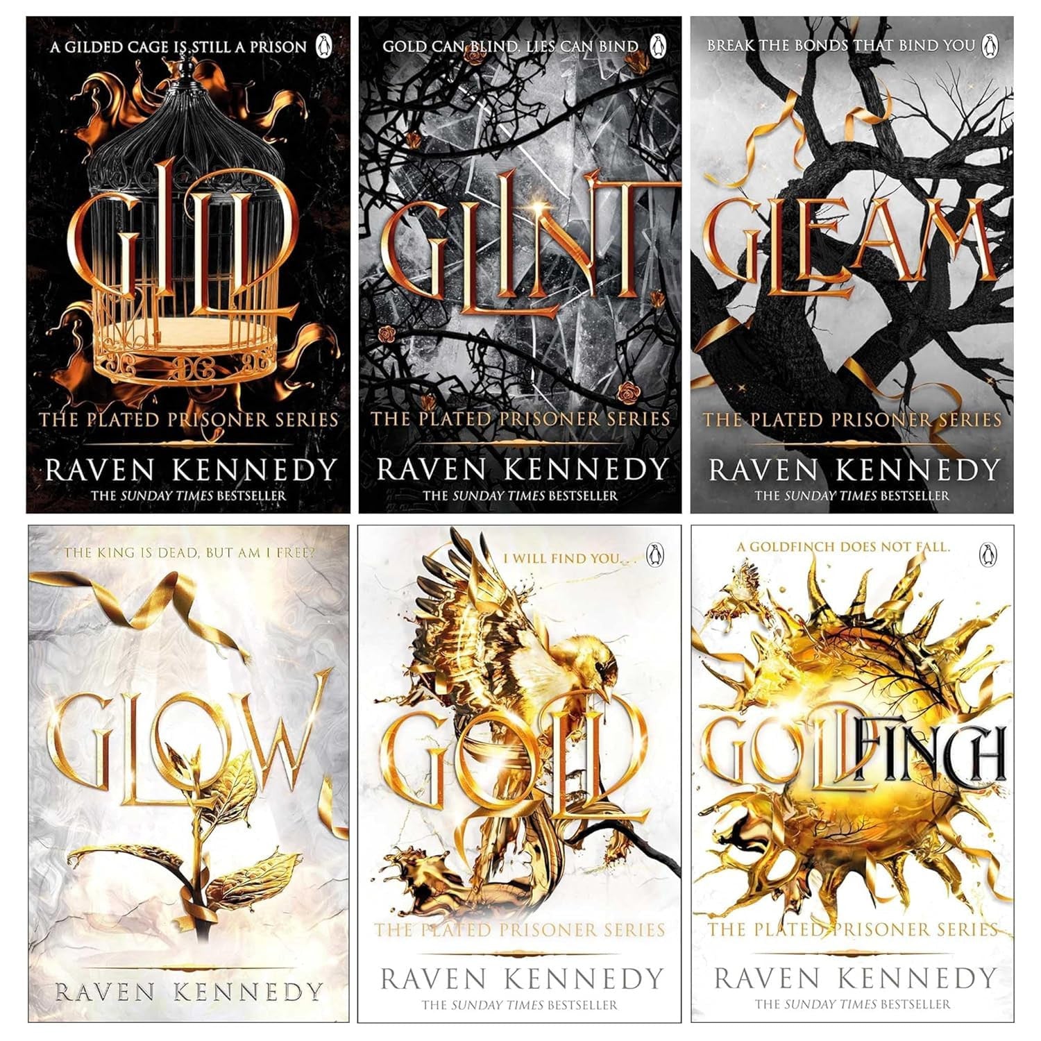 The Plated Prisoner Series 6 Books Collection Set by Raven Kennedy