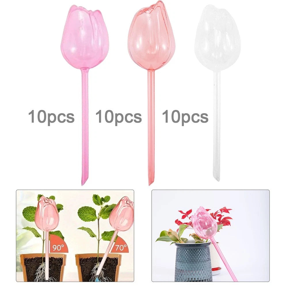 Tulip Watering Globes Automatic Irrigation For Your Household Plants