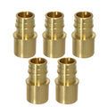 XFITTING 1" Pex A x 1" Female Sweat Adapter 5 Pack