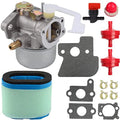 Carburetor Maintenance Kit For Bs Engines Including Air And Fuel