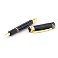 Hero 9018 Fountain Pen - Fude Artist's Signature Nib - Black Gold
