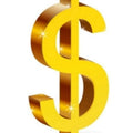 Extra Fee Of $1.00 One Dollar For Fast Payment (Only Valid After
