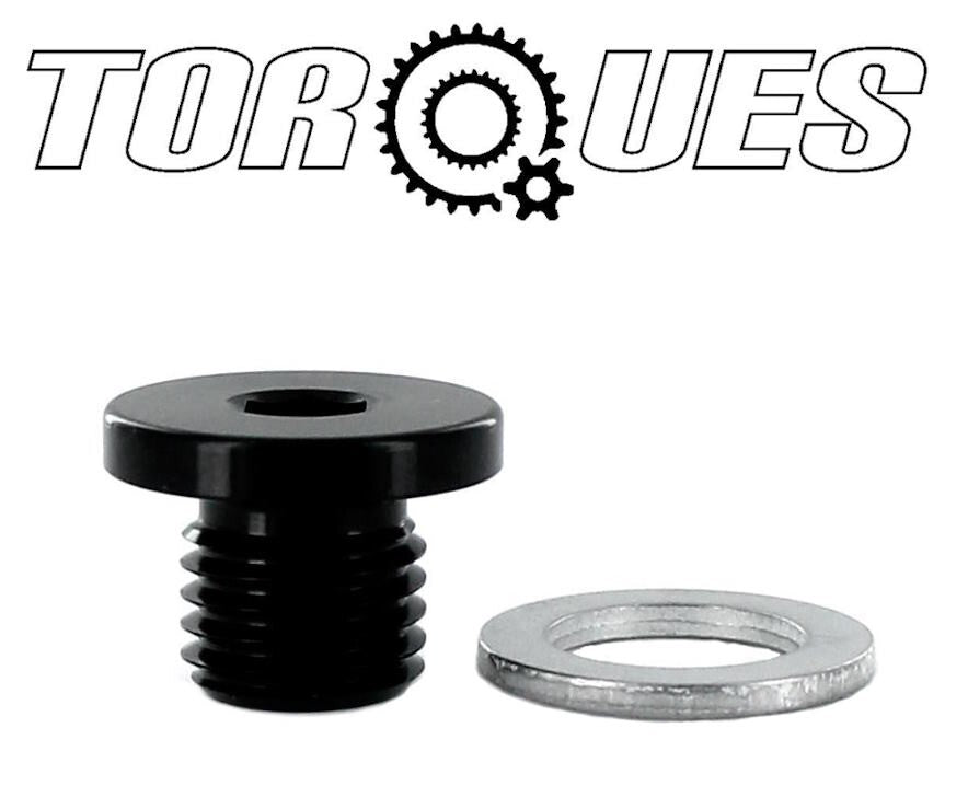 M10x1.25 Round Head Port Plug with Washer In Black