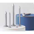 A2 Stainless Steel Flat Head Nails