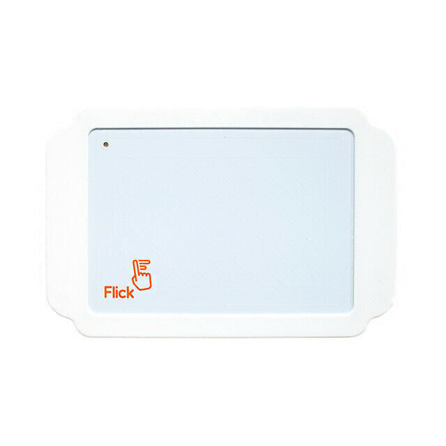 Large Flick Case