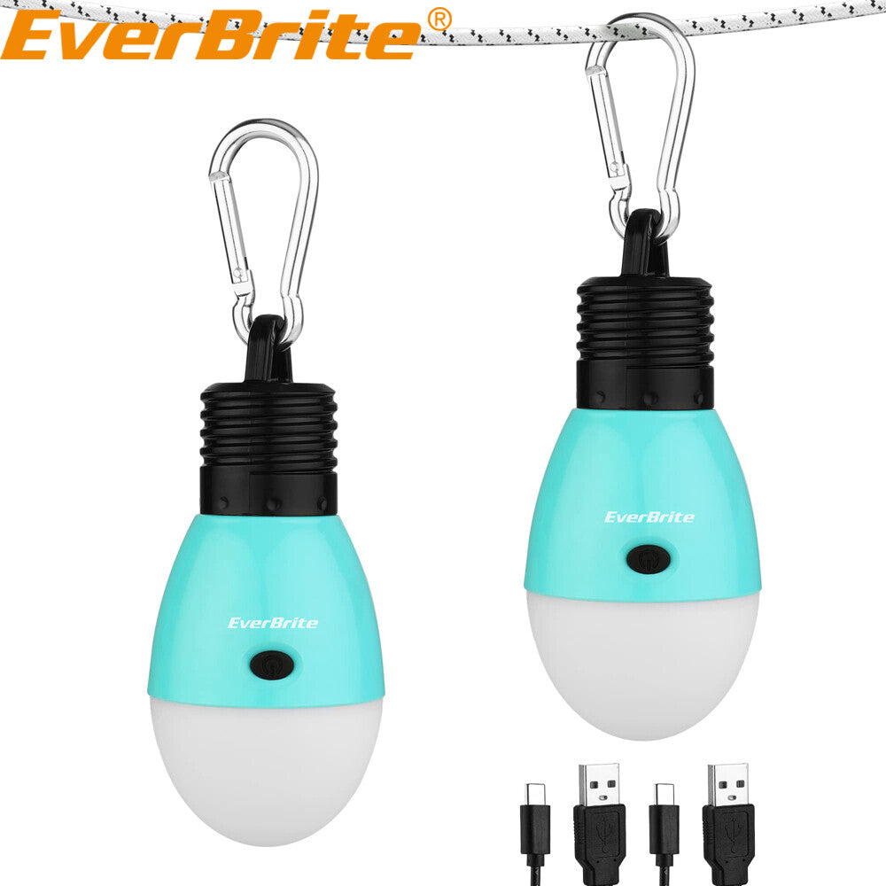 EverBrite 2PACK Rechargeable LED Bulb by EverBrite