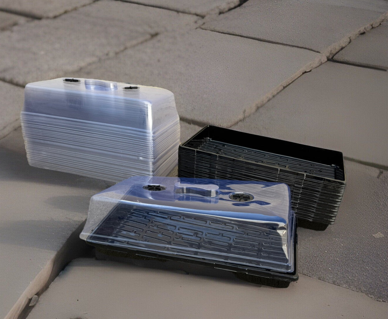 Lot 33 Vented Humidity Dome Mushroom Fruiting Incubating Chamber Kit Tray