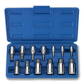 13pc Polydrive Ribe Bit Socket Set