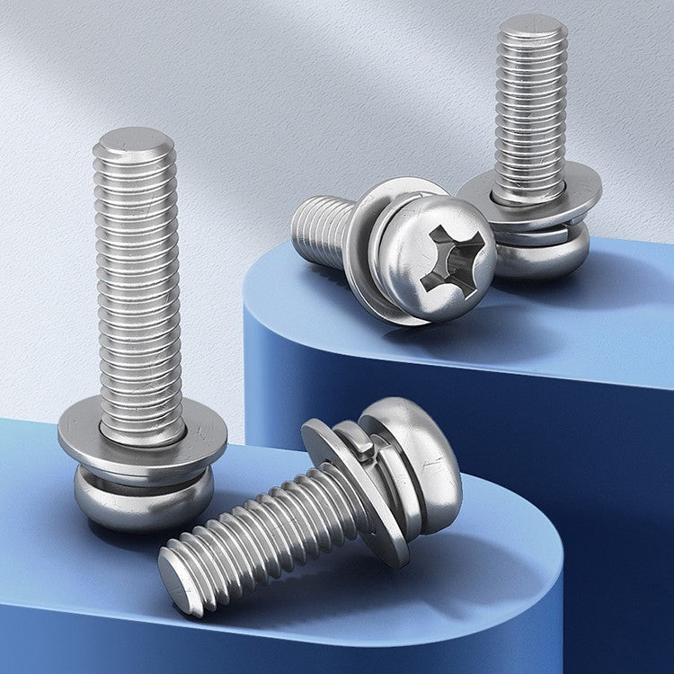 Round Head Phillips Screw Set A4 316
