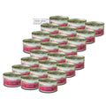 X24 Treefrog Organic Black Cherry Scent Car/truck/auto Air Freshener