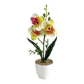 Plastic Phalaenopsis Orchid With Fade Resistant Petals White Pot