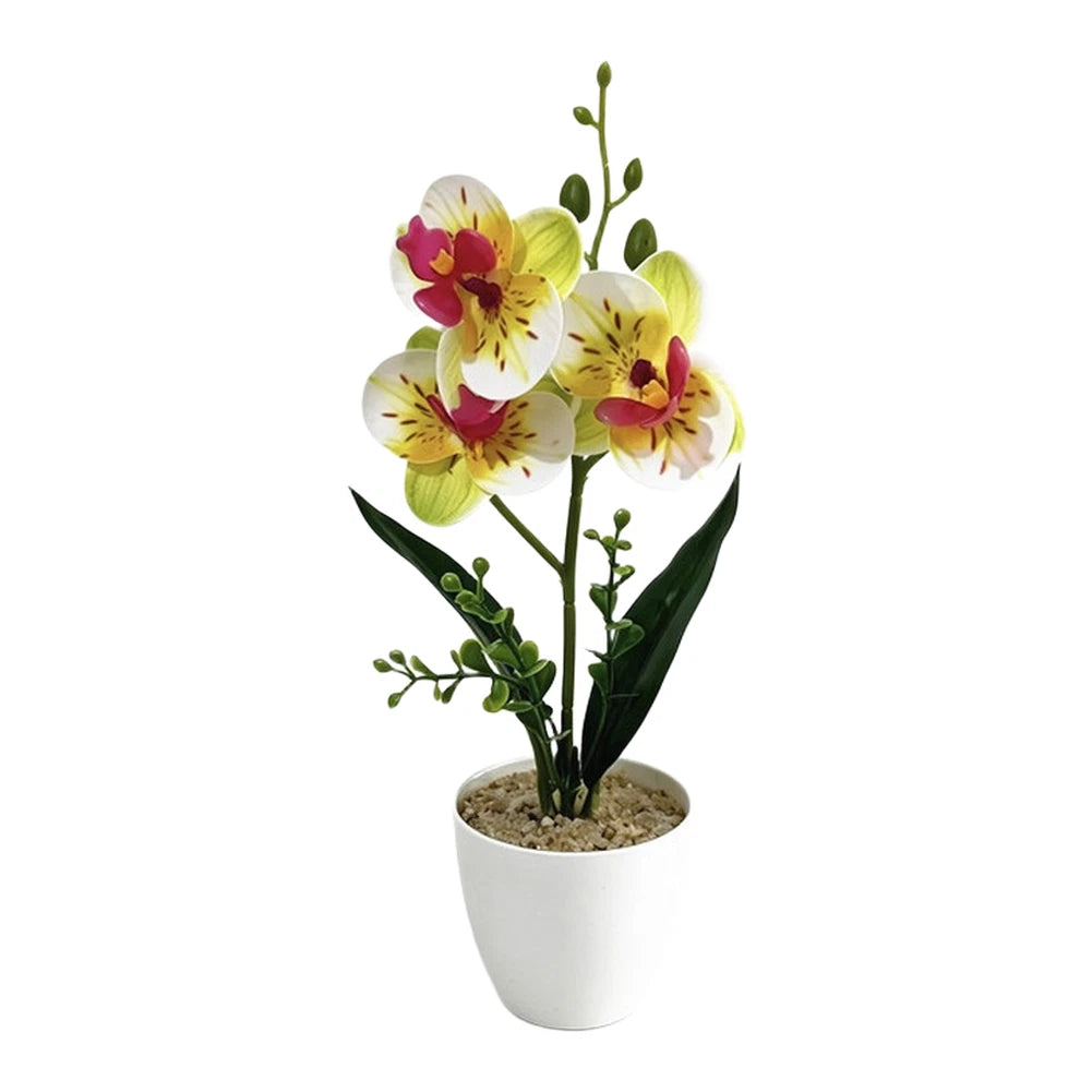Plastic Phalaenopsis Orchid With Fade Resistant Petals White Pot