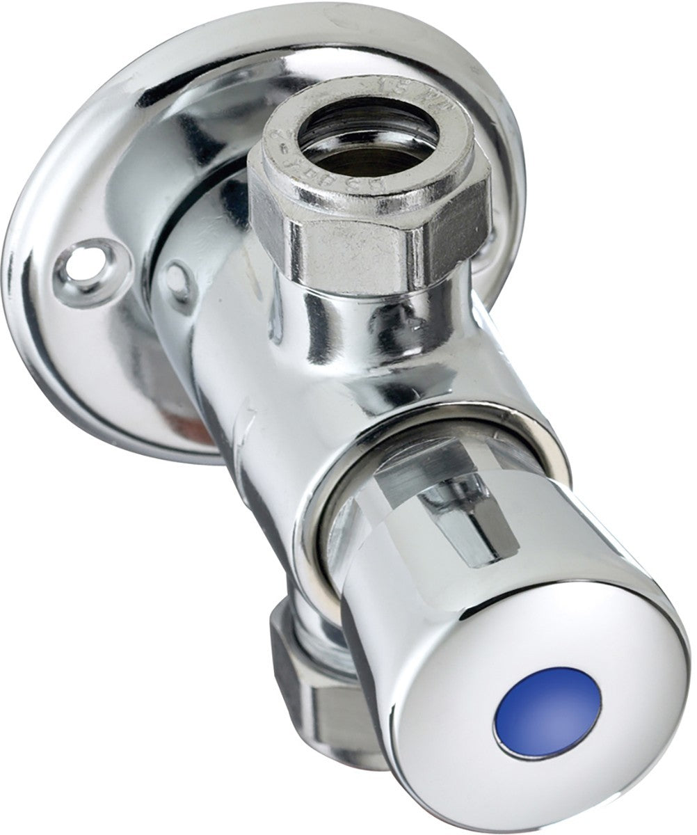 Timed Flow Exposed Push Button Water Control