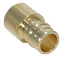 XFITTING 3/4" Pex A x 3/4" Female Sweat Adapter