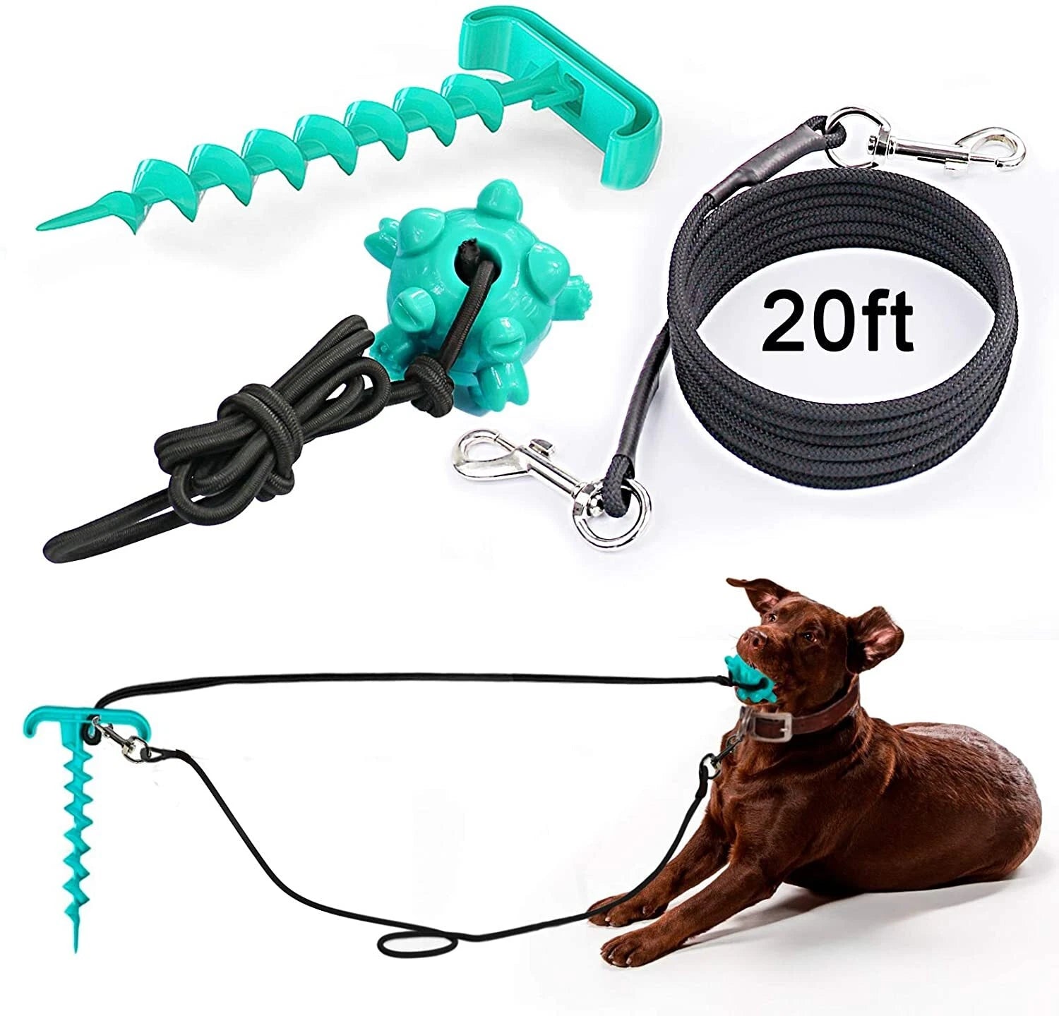 Dog Tie Out Cable Stake 20ft For Dogs Up To 110lbs Camping Training