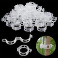 Weather Resistant Plant Clips For Garden Support 50/100 Pack For Vines