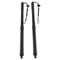 Rear Tailgate Lift Supports Struts for Nissan Rogue 14-19 905614BA4A