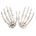 Skeleton Skull Claw Hand Bone Halloween Party Carnival Ghost Props