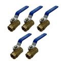 XFITTING 1/2" Female NPT Ball Valve - 5 Pack