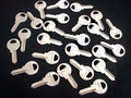 25 Hillman Rockey's Master M1 Key Blanks 86119 Made In The Usa Pad
