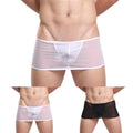 Briefs Men Underwear All Seasons Sexy Transparent Ultra-thin