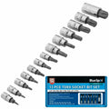 BlueSpot 13pc Male Torx Bit Star Socket Set 1/4" 3/8" 1/2" T8 -T70 by BlueSpot