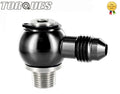 An -4 (4an ) Banjo Adapter to 1/8" Npt Stainless Steel Banjo Bolt