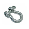 Drop Forged 1500 Lbs D Ring Bow 5/16" Screw Pin Anchor Shackle