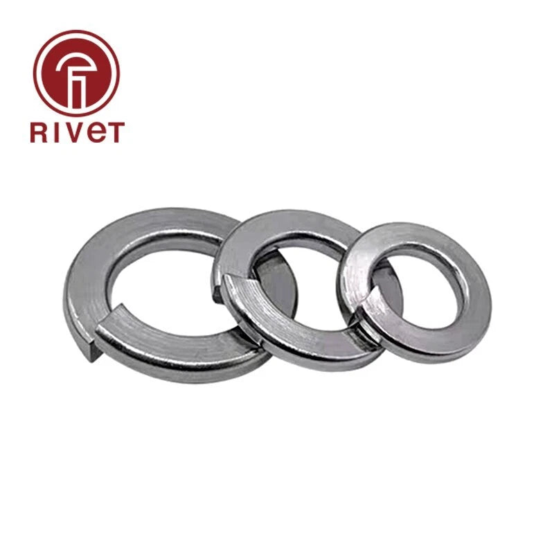 316 DIN127 Shells Pad Spring Lock Washer Elastic Gasket M10 M12 M14 M16 M18 M20