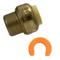 100 Pack XFITTING 1/2" Push Fit Cap w/ 1 Clip Push to C