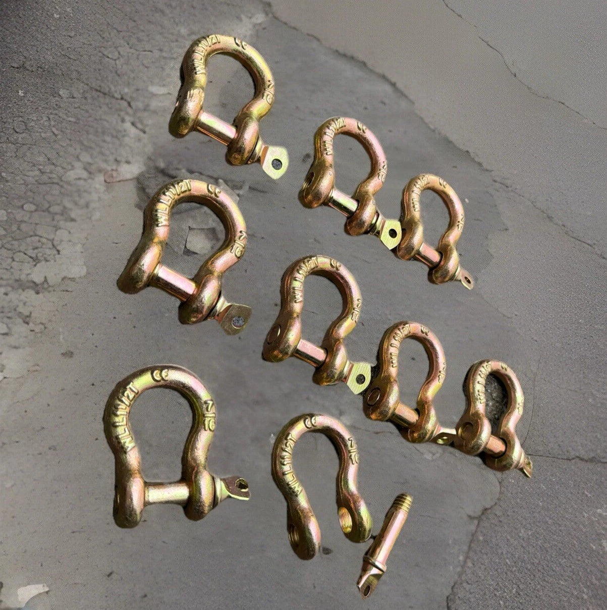 Drop Forged Wll 1/2 Ton D Ring Screw Pin Anchor Shackle Galvanized