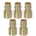 XFITTING 3/4" PEX A X 3/4" Female Sweat Adapter 5 Pack