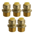 XFITTING 1/2" Push Fit x 3/4" Male NPT Adapter 5 Pack