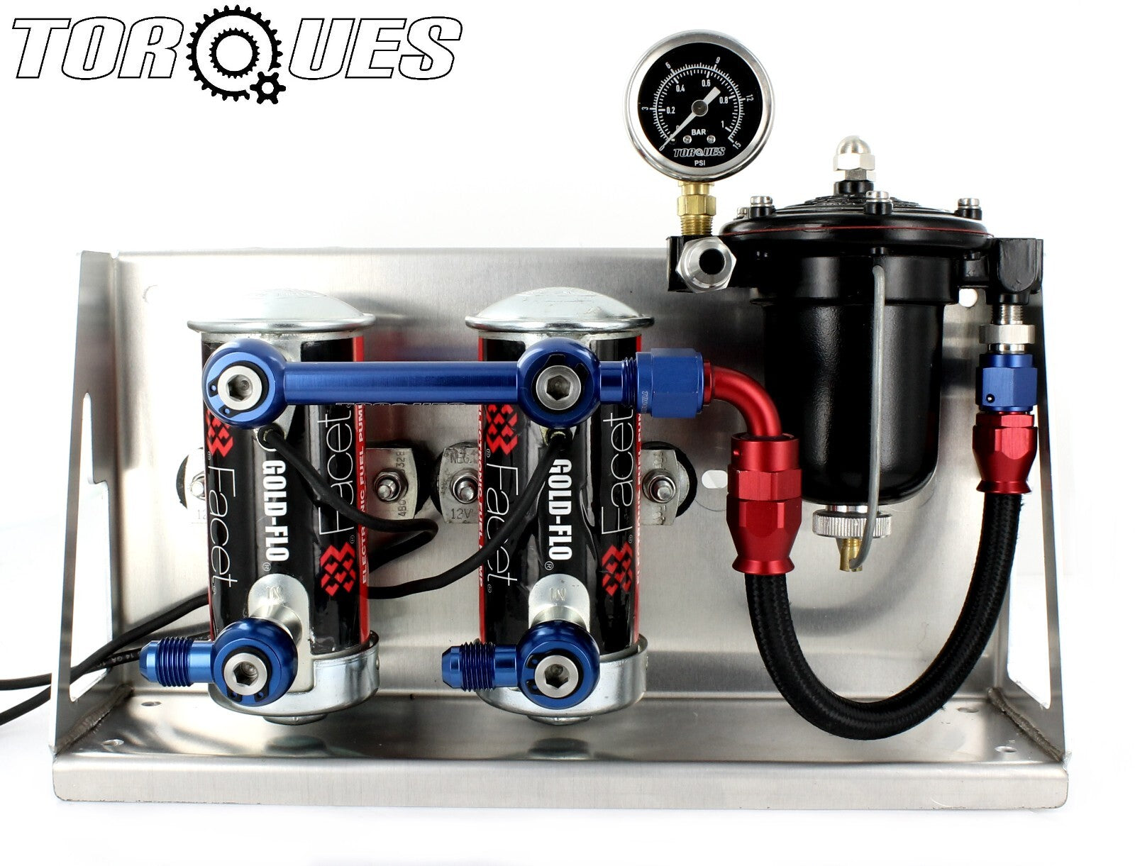 AN-6 (6AN) Twin Facet Red Top Fuel Pumps/ Manifold/Swivel Banjos/